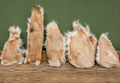 Dehydrated Rabbit Hide Dog Treats