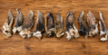 Dehydrated Rabbit Ear Dog Treats